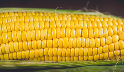 Fresh yellow corn with cobs on rustic wooden table