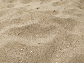 footprints in the sand