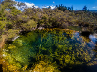 Volcanic thermal water pit with vegetation