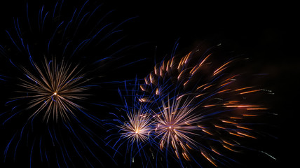 Obraz premium Fireworks in the night sky