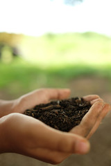 Young hands holding decomposed soil