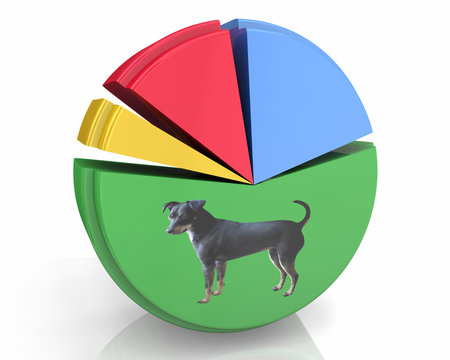 Dog Animal Pet Pie Chart Percentage Majority Popularity 3d Illustration