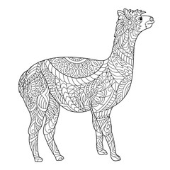 Alpaca coloring page for adult and children. Creative llama animal. Black and white vector illustration.