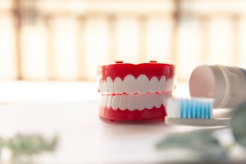Close up Denture with toothpaste Toothbrush on blurred background.Metaphor for oral, dentures jaw toothy healthcare protect.