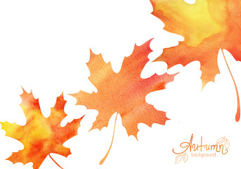 Decorative background. Three autumn maple leaves. Orange-yellow gradient. Abstract watercolor fill. Hand drawn illustration. Elements isolated on white. Wallpaper.