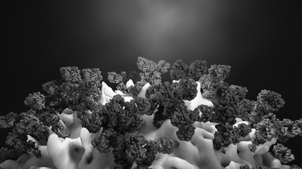 Antibodies attack a cancer cell or virus