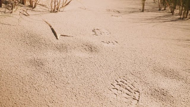 Closeup shot of a footprint of a hiker in a sand dune. Camera is tilting upwards following the footprint trace and showing a dune landscape.