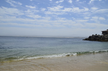 Surf 1