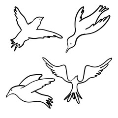 collection of handdrawn flying birds in cartoon doodle style