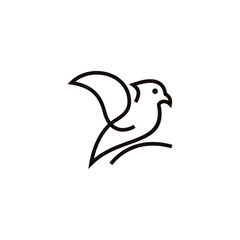 Creative Bird Logo Designs Vector Template