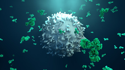 Fototapeta na wymiar Antibodies attack a cancer cell or virus
