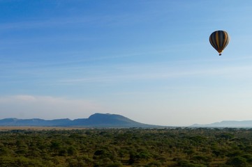 Hot air balloon hovering over the Serengeti National Park