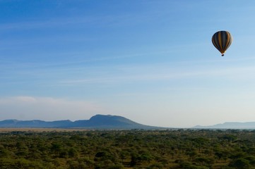 Fototapeta na wymiar Hot air balloon hovering over the Serengeti National Park