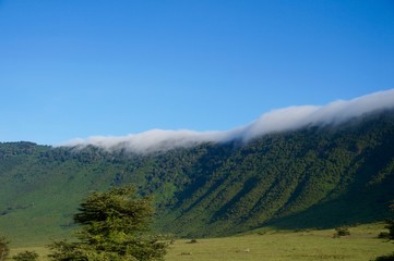 Fototapeta premium Clouds coming over the ridge of the Ngorongoro crater
