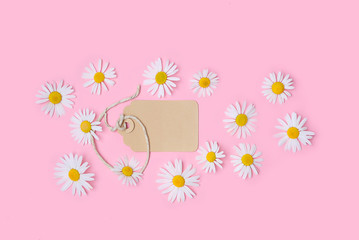 empty tag and chamomile flowers on pink background. beautiful stylish minimalism composition. creative design. concept of beauty care, greeting blank. copy space. top view