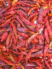 Dry red chili pepper