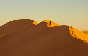 Fototapeta na wymiar Sportsman goes up on sand dune. Desert landscape