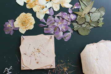 pressed flowers