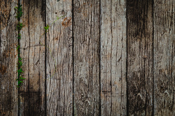 Old vintage wooden flat texture