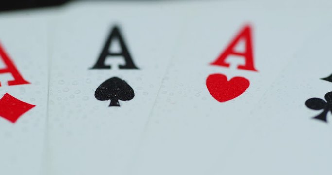 Macro of a shot of playing cards with all four aces hearths diamonds space cross lying on an elephant while moving when the cards are splashed with water leaving a drop of detail.