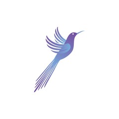 Bird logo design template vectors