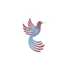 Bird logo design template vectors