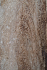 Dark wood texture background surface with old natural pattern