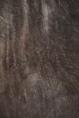 Dark wood texture background surface with old natural pattern