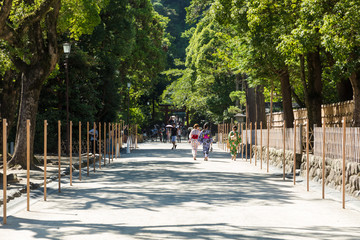 (神奈川県ｰ風景)鶴岡八幡宮東鳥居から続く参道風景２