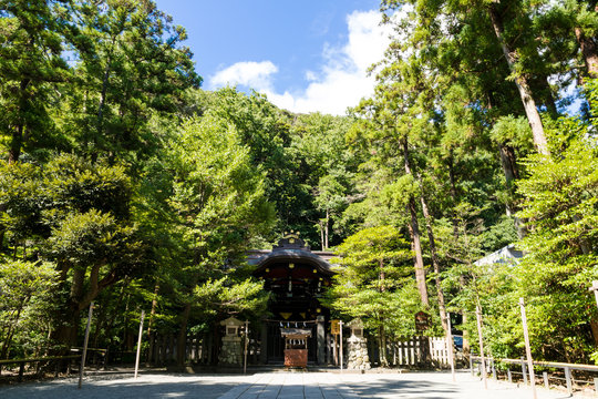 「静御前」の写真素材 | 129件の無料イラスト画像 | Adobe Stock