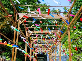 children playground in park