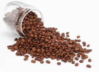 coffee beans 