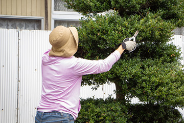 庭木の枝切り作業をしている女性　40代　主婦