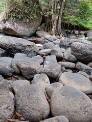 River and Rocks