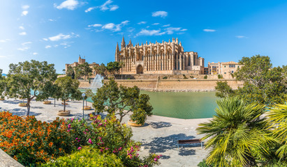 Landscape with Cathedral La Seu in Palma de Mallorca islands, Spain - obrazy, fototapety, plakaty