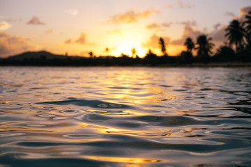 Naklejka premium View from in the water looking back at the beach shore and the setting sun behind Vieques island and palm trees