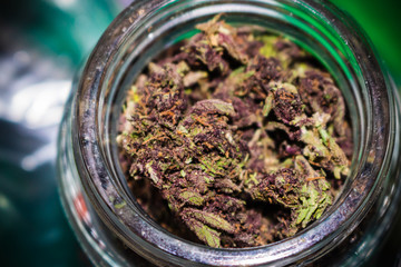 Purple Kush Strain Medical Cannabis Flower In Glass Container