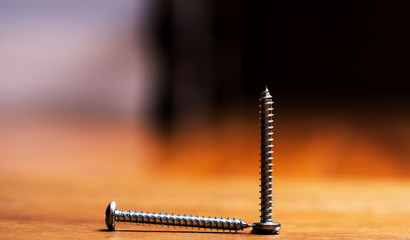 Close up of two long neck screws. One standing the other laying down.