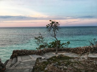 tree and path on the beach in cuba at the evening