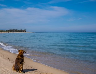 Face à la mer.