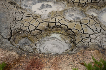 Multicolored steaming mud hole in Uzon caldera. Kronotsky Nature Reserve in Russian far east,...