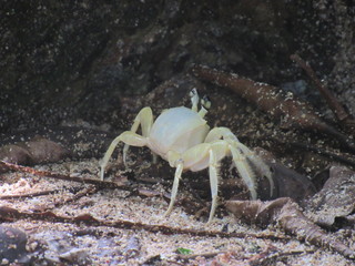 Cahuita, Costa Rica 2