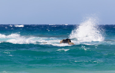 Brigantini - San Foca - Salento