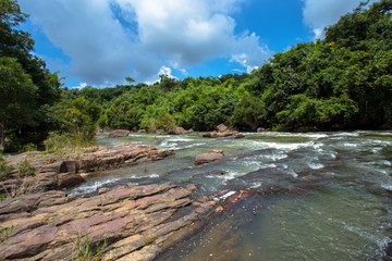 Obraz premium Downloading, Water, Autumn, Lake, Rainforest
