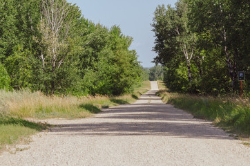 Fototapeta na wymiar Gravel rural road at Riding Mountain National Park, Manitoba