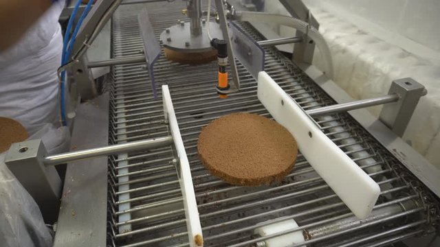 Biscuit or sponge cakes are soaking with syrup on automated conveyor. Manual manufacture of sweets desserts. Flour confectionery production. Cooking tortes in the bakery workshop.