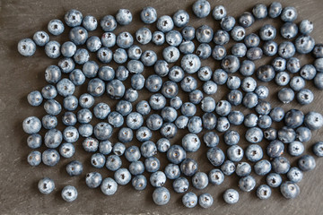 Heidelbeeren auf Schieferplatte