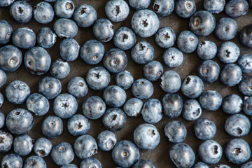 Heidelbeeren auf Schieferplatte