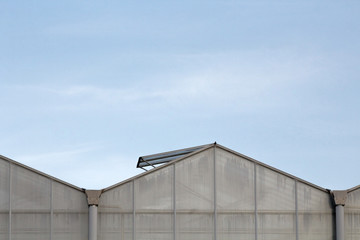 Fototapeta premium Roof Of A Greenhouse
