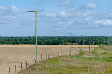 Power lines in the countryside in rural Manitoba